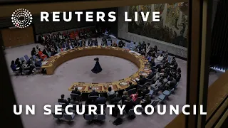 LIVE: UN Security Council meets on Middle East