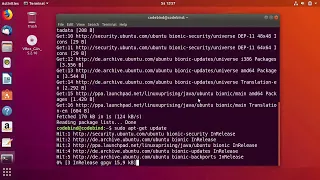 How to install Java JDK 10 on Ubuntu 18 04 LTS Debian Linux