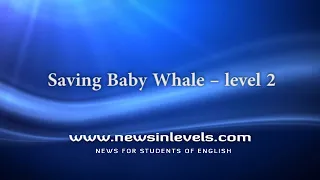 Saving Baby Whale – level 2