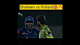 Big Fight Shaheen Afride vs Pollard PSL 8 | LQ vs MS | PSL 8 highlights| #cricket  #shaheenafridi