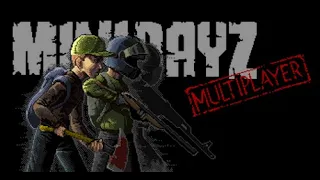 how to play multiplayer in mini dayz 2