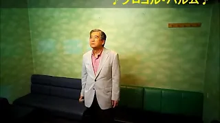 青い影歌詞付