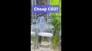 Need CO2? Build cheap, fast and easy DIY CO2 reactor!