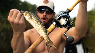 Freshwater GIANTS Go CRAZY For Saltwater Baits (Florida Snook & Tarpon Fishing)