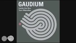 Gaudium - Torn Melodies