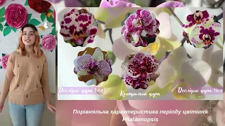 ДОСЛІДЖЕННЯ ВПЛИВУ ІРІГАЦІЇ РИСОВОЮ ВОДОЮ НА РІСТ І РОЗВИТОК PHALAENOPSIS У ДОМАШНІХ УМОВАХ