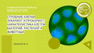 ЕГЭ по биологии. Занятие 3. Строение клетки эукариот, прокариот. Клетки бактерий, растений, животных