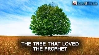 Tree That Loved The Prophet ᴴᴰ | Shaykh Zahir Mahmood