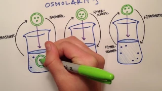 LPA 1B - Osmolarity vs  Tonicity