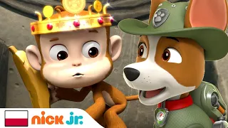 Psi Patrol | Tracker, psiak z dżungli | Nick Jr.