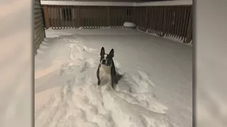 WCCO Viewers Sound Off On Late Winter Snowstorms