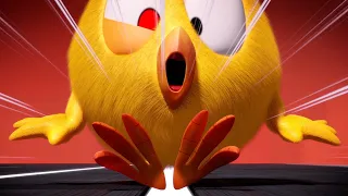 Where's Chicky? | CRAZY CHICKY RACE | Chicky 1H Cartoon in English for Kids