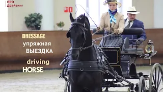 Выездка в драйвинге. Dressage Driving. FEI 3*B от Команды по драйвингу "Экволакус". Экипаж Поповой