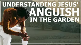 Understanding Jesus' Anguish in the Garden | Matthew 26:36-46, Daily Devotional