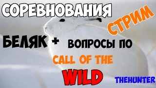 theHunter - Беляки + вопросы по новому Hunter,у - СОРЕВНОВАНИЯ онлайн (стрим)