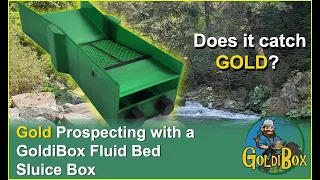 Gold Prospecting with the GoldiBox Fluid Bed Sluice Box