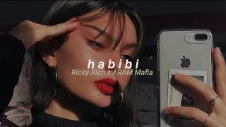 Ricky Rich x ARAM Mafia - Habibi (slowed + reverb)