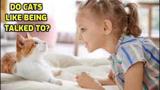 Do Cats Like Humans Talking To Them?