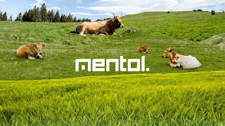 Mentol @ DanceFM Weekend Mood 051