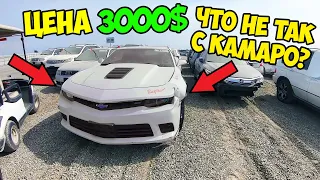 Новый Камаро СС за 3000$ ? Починил Пилота, Сколько вышел? Выбираем машину с аукциона копарт США