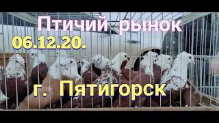 06.12.20. Bird market in Pyatigorsk.