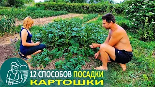 🥔 Посадка картофеля 12 способами 🌿 Эксперименты и технологии Гордеевых