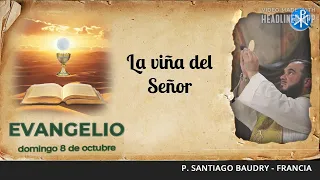 Evangelio de hoy, 8 de octubre de 2023 | La viña del Señor