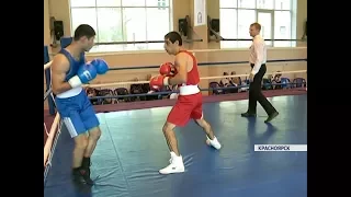 Всероссийские соревнования по боксу завершились в Красноярске