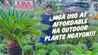 MUST HAVE NA OUTDOOR PLANTS!