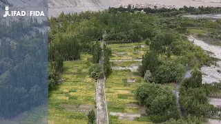 Pakistan: Barren Lands go Green