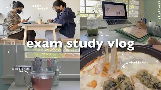 72 HR STUDY VLOG ☕️ | studying for exams, coffee shops, productivity, finding balance, lots of food