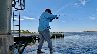 Quick Jax ICW fishing trip for Flounder, Mangroves and Black Drum! Mission accomplished! May 2024