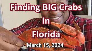 Finding Big Crabs in Florida 03-15-2024