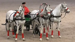 Русская тройка, орловские рысаки #ИППОсфера 2019 церемония открытия. Международная конная выставка