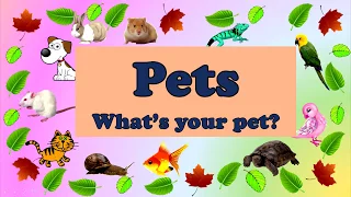 Pets.  What's your pet? Домашние любимцы // #УчуАнглийский