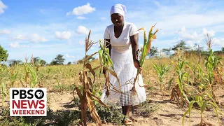 Extreme drought plunges millions in southern Africa into hunger crisis