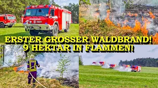 +++ ERSTER GROSSER WALDBRAND +++ 9 HEKTAR WALD IN FLAMMEN | FEUERWEHR | GROSSEINSATZ | WALDBRAND-TLF