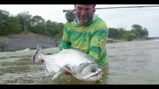 Payara of the Orinoco, Expeditions Fishcolombia with Wesley White