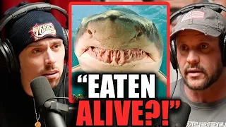 Surviving Tiger Shark Encounter (Dual Survival) | Joe Teti