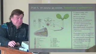 Носов А. М. - Физиология растений II - Эмбриогенез растений