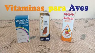 Vitaminas para Aves - Como e Quando Usar