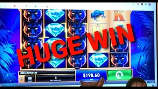 CASINO Bet365 Big Win| Panther Pays Huge Win