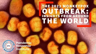 The 2022 Monkeypox Outbreak: Insights from around the World