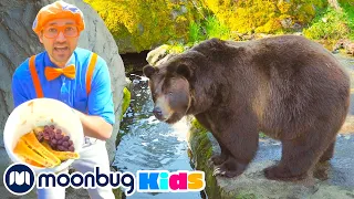 Blippi Feeds the Zoo Animals | Moonbug Kids TV Shows - Full Episodes | Cartoons For Kids