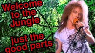 Guns and Roses: Welcome to the Jungle (Just the good parts)