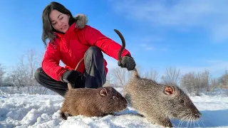 Caught and Cooked! 2 Large Rodents That You Can Cook At Home