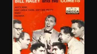 Bill Haley and His Comets - Joey's Song (1959)