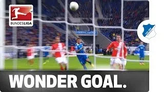 Firmino's wonder goal against Mainz