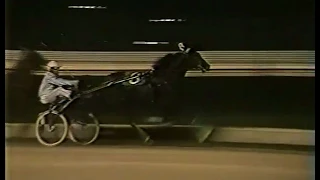 1982 Roosevelt Raceway - International Trot- Ideal du Gazeau