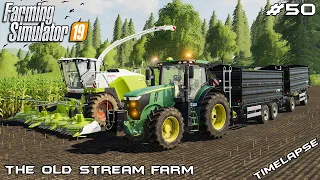 Silage harvest 1/2 | Animals on The Old Stream Farm | Farming Simulator 19 | Episode 50